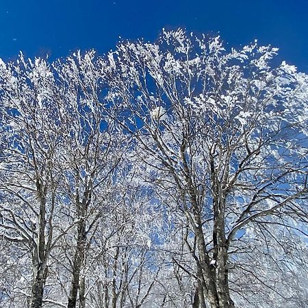 Snow Horizon Apartment Hakuba Luaran gambar