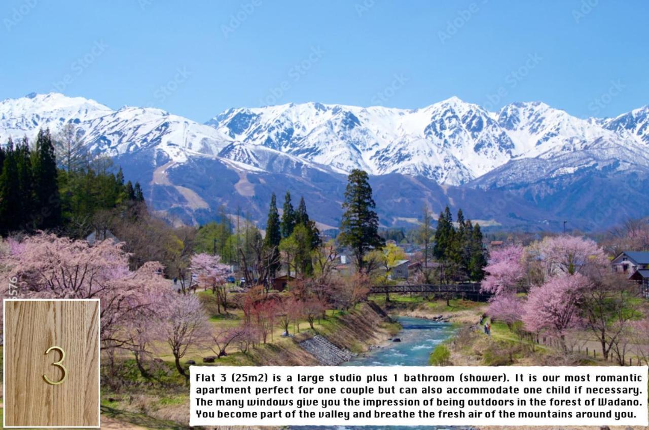 Snow Horizon Apartment Hakuba Luaran gambar